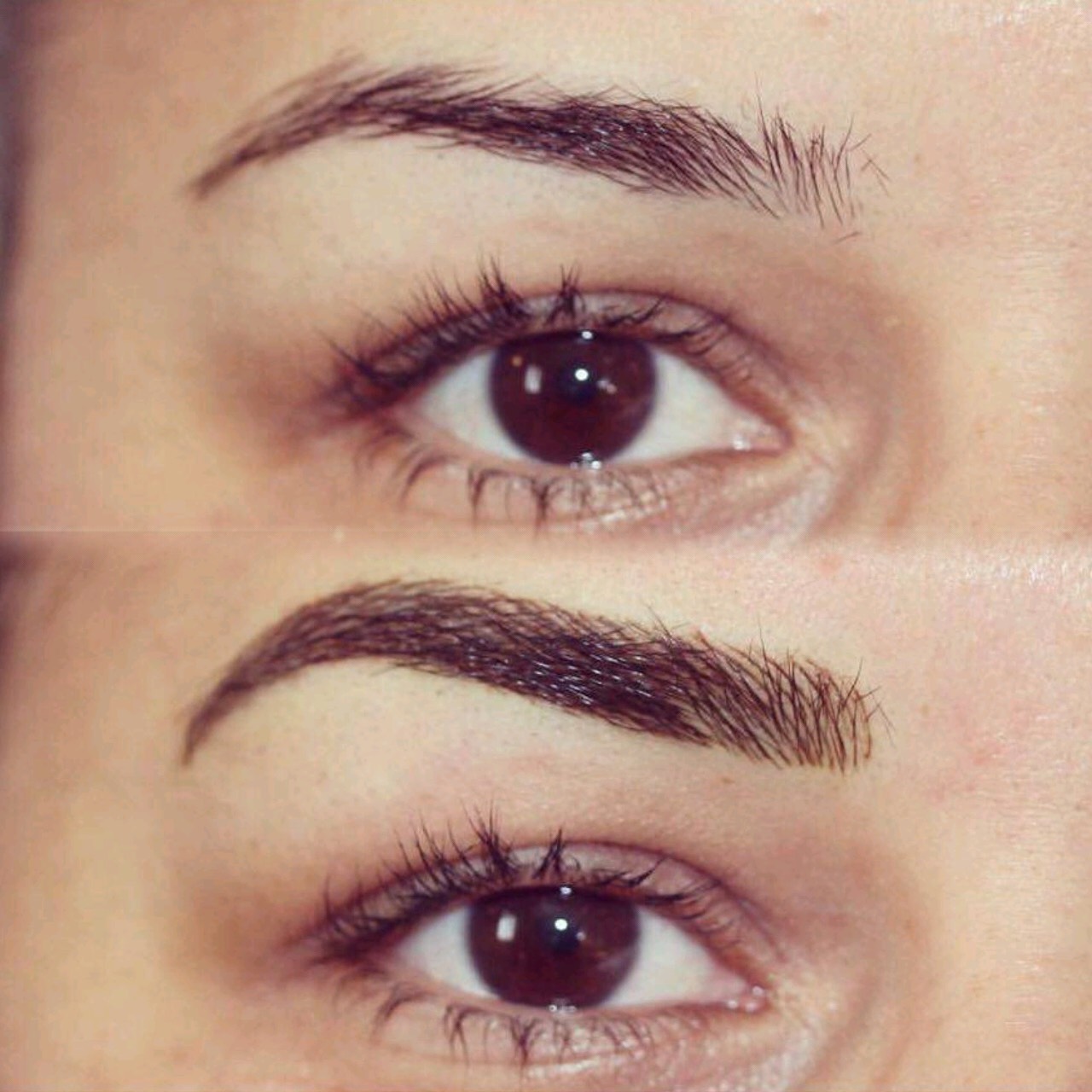 Permanent Brows Eyebrows before and after image