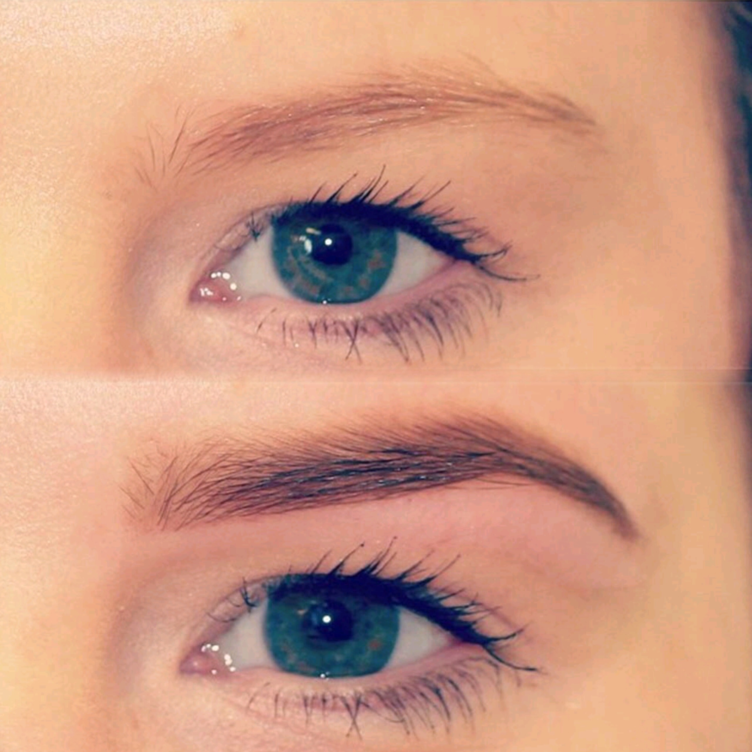 HD Brows Eyebrows before and after image